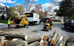 Lawn Grading and Leveling in Balfour, NC